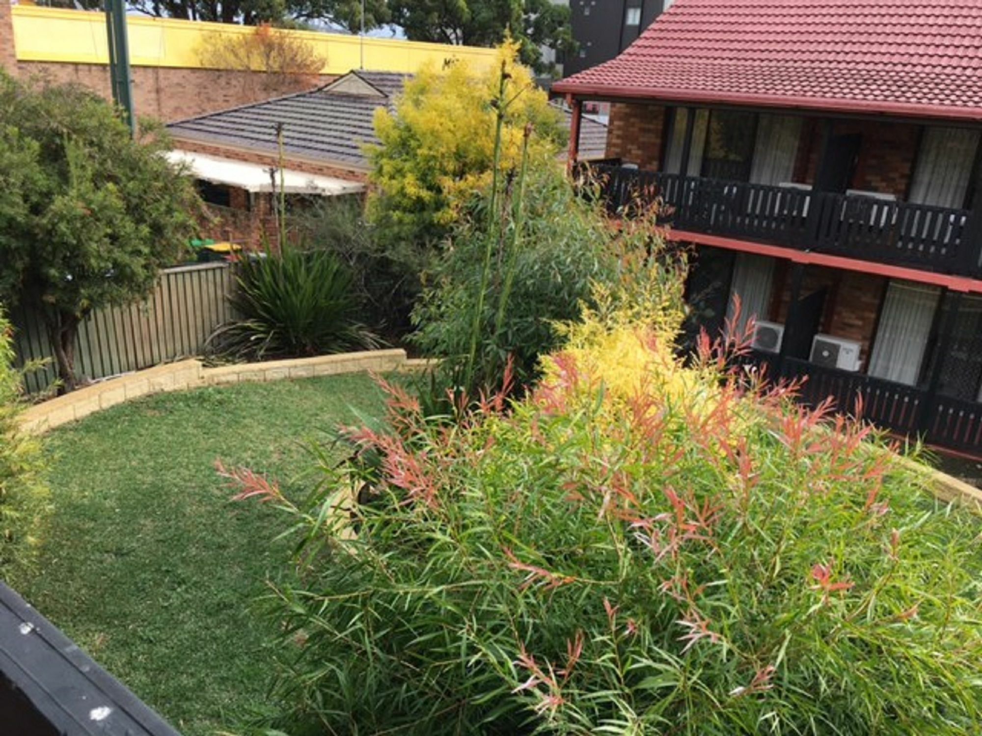 Maclin Lodge Motel Campbelltown Kültér fotó